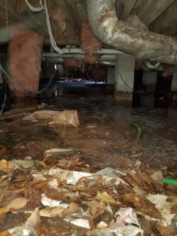Crawl space flood assessment for Leak Detection & Repair in Central Point